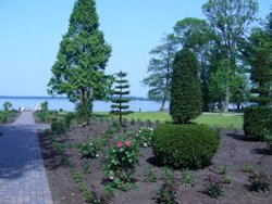 Der Rosengarten in Bad Zwischenahn